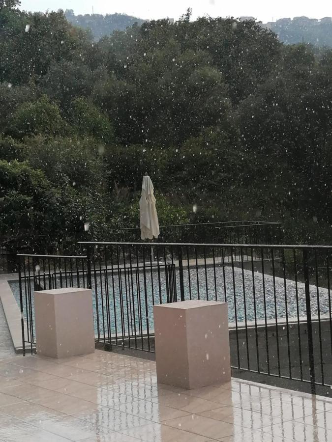 אוליאסטרו צ'ילנטו B&B Il Poggio Eccelso מראה חיצוני תמונה
